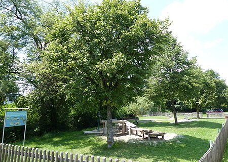 Pädagogischer Wasserspielplatz Monheim Wasserspielplatz mit Sand, Holztischen und Bänken, umgeben von Bäumen und einem Holzzaun. Informationstafel links.