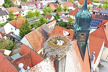 Die drei Strochenkinder auf dem Oberen Torturm Monheim am 17.05.2021