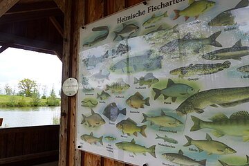 Fischereilehrhütte Monheim am Waldsee