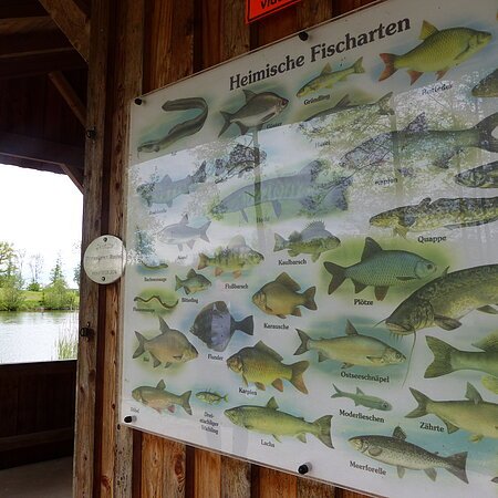 Fischereilehrhütte Monheim am Waldsee