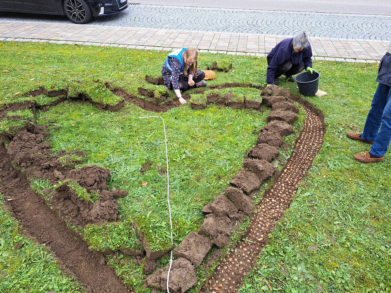Zwei Personen pflanzen Blumenzwiebeln in ein  herzförmig angelegtes Beet auf einer Rasenfläche. Erde ist auf beiden Seiten aufgeschichtet. Rechts die Beine einer weiteren Person zu sehen. Vor dem Rasen ein gepflasterter Fußweg und eine Straße mit einem parkendem Auto drauf.