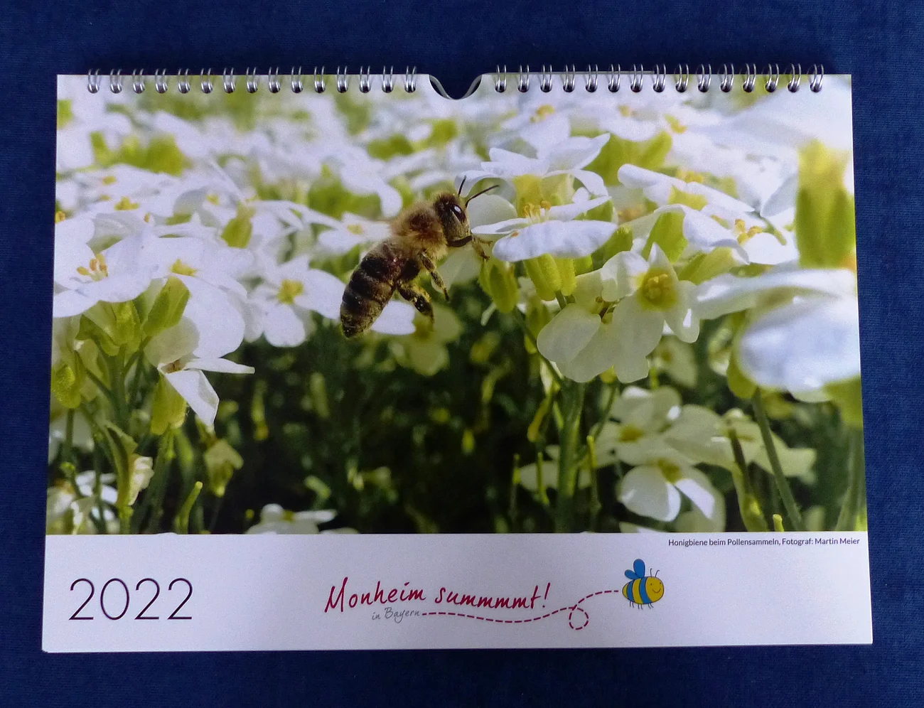 Titelseite eines Kalenders von 2022 mit Nahaufnahme einer Honigbiene auf weißen Blüten. Unter dem Foto der Text „Monheim summmmt!“ in roter Schrift auf weißem Hintergrund und Illustration einer Biene in gelb-blau rechts davon.