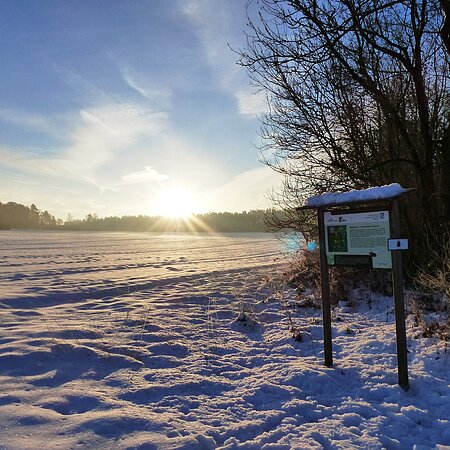 Themenpfad Zukunftswald Monheim - Winterwanderung