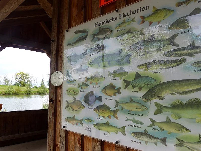 Tafel auf einer Holzfassade einer Hütte, mit Abbildungen und Namen heimischer Fischarten, im Hintergrund ein Teich und Bäume.