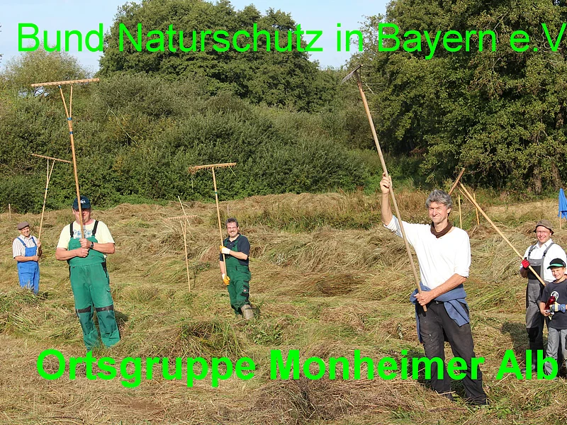 Sechs Personen in Arbeitshosen stehen bei Tageslicht auf einer Wiese vor Bäumen mit hochgehobenen Rechen in den Händen. Auf dem Foto der Text „Bund Naturschutz in Bayern e.V. - Ortsgruppe Monheimer Alb“ in grün.