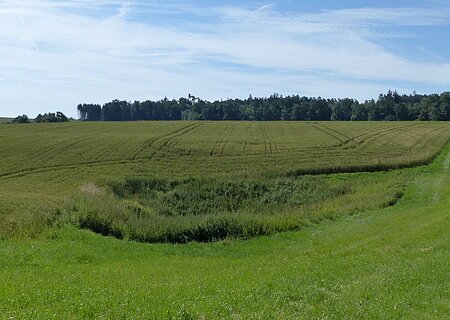 Doline im Feld