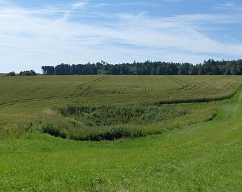 Doline im Feld