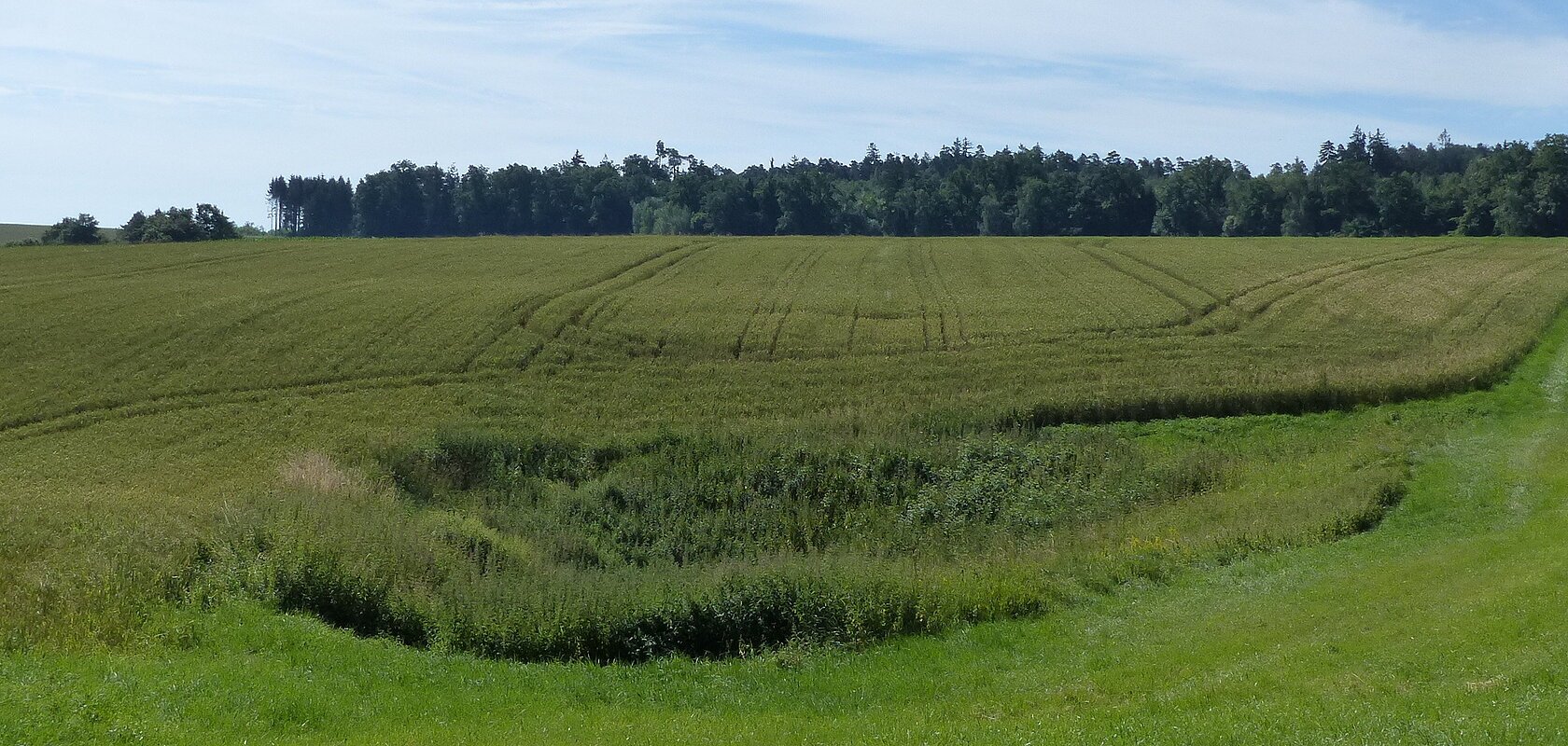 Doline im Feld