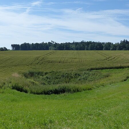 Doline im Feld