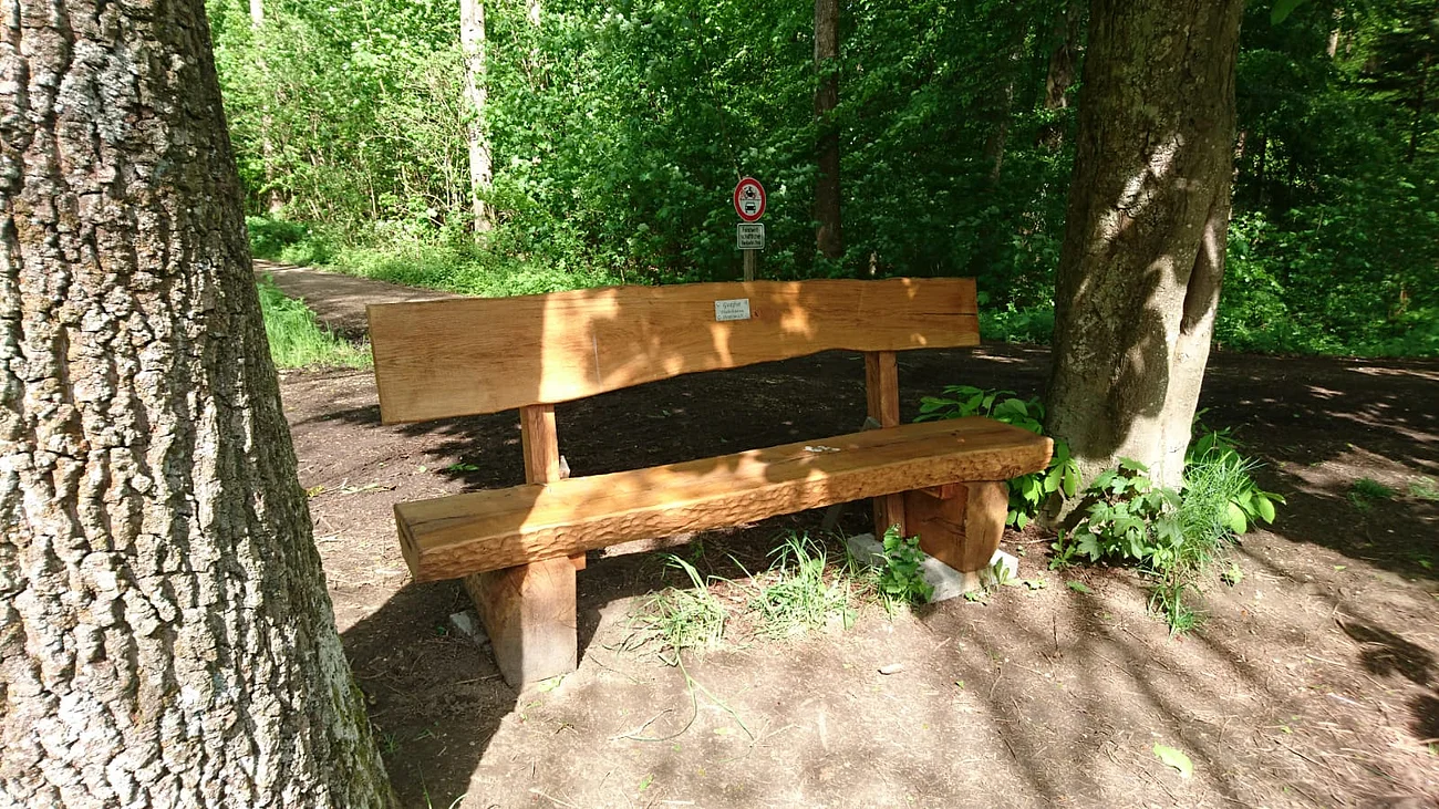 Neue Ruhebank am Abtissenweiher gestiftet vom Fischereiverein Braune Holzbank zwischen zwei Bäumen auf Waldweg, mit Verbotsschild im Hintergrund.