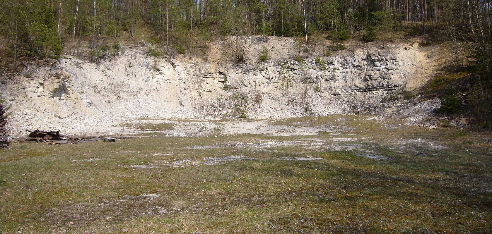 Oberhalb der Felswand eines ehemaligen Steinbruchs stehen viele Bäume. Vor der Felswand ist eine Wiese.