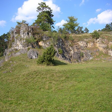An einem Hang ist eine große bewachsene Felsformation zu sehen. Vor, auf und hinter den Felsen wachsen mehrere Büsche und Bäume.