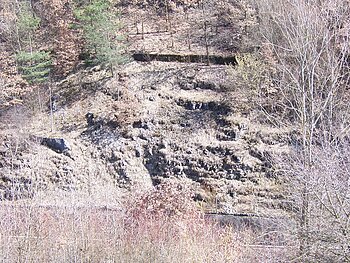 An einem Hang sind unter Gras mehrere Felsen zu erkennen. Oberhalb stehen mehrere junge Bäume.
