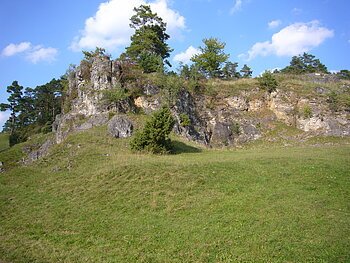 An einem Hang ist eine große bewachsene Felsformation zu sehen. Vor, auf und hinter den Felsen wachsen mehrere Büsche und Bäume.