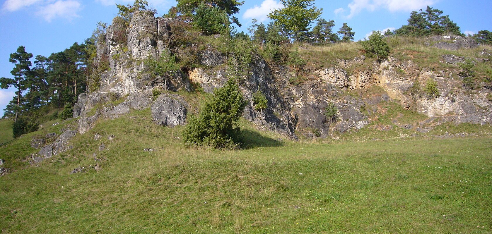An einem Hang ist eine große bewachsene Felsformation zu sehen. Vor, auf und hinter den Felsen wachsen mehrere Büsche und Bäume.