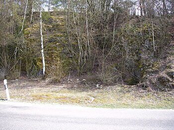 Neben einer Straße befindet sich eine bewachsene Felswand mit Moos und kleinen Bäumen.