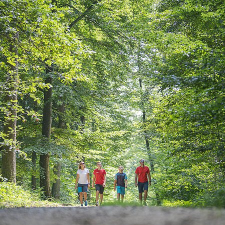 Thempfad Zukunftswald Monheim