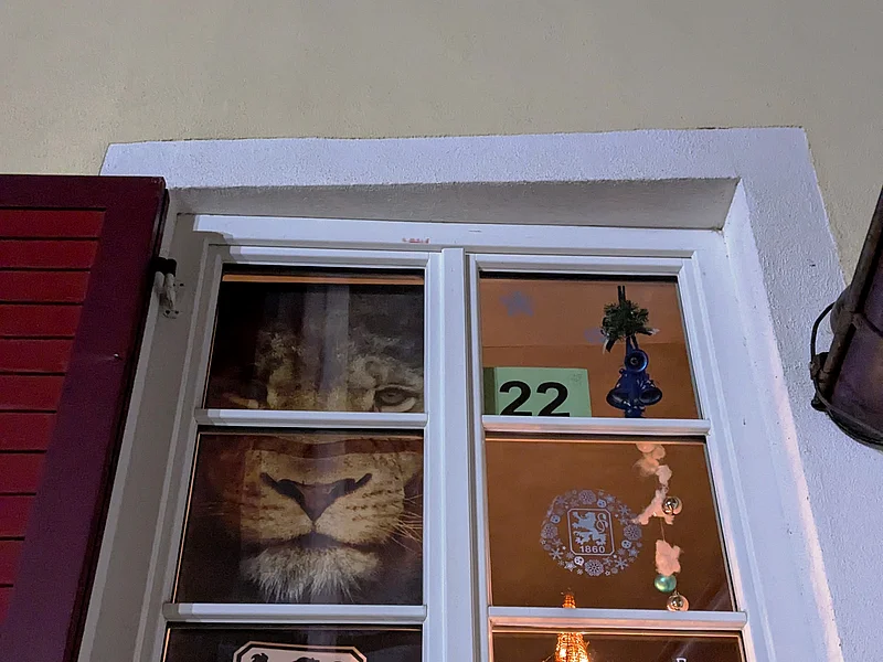 Adventskalenderfenster 22.12.2024 - Löwenfanclub Adventskalenderfenster mit weißer Umrandung und einem roten geöffneten Fensterladen. Darin links groß ein Löwenbild, darunter das Logo des TSV 1860 München. Rechts davon ein beleuchteter Weihnachtsbaum mit einer Plüschente mit Mütze und Schal abgezogen. Von oben hängt Weihnachtsdekoration. Oben rechts im Eck die Zahl 22 auf Papier mit grünem Hintergrund.