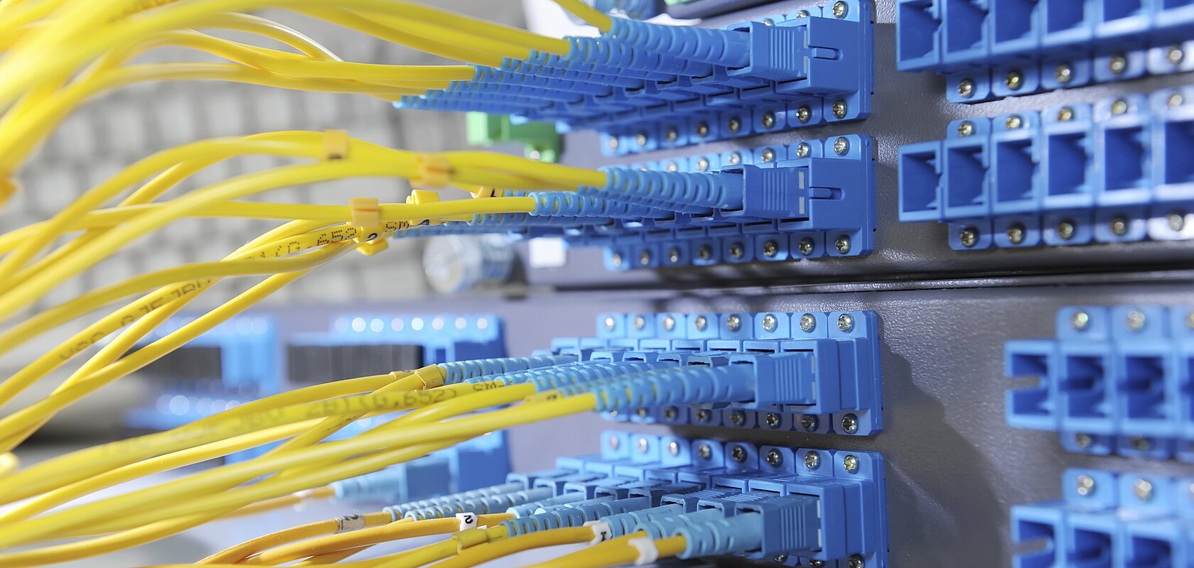 Gelbe Glasfaserkabel sind in blaue Anschlüsse eines Netzwerkservers eingesteckt.