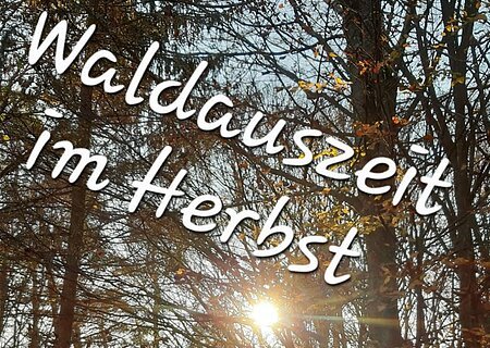 Herbstlicher Wald mit Sonnenstrahlen, Text: "Waldauszeit im Herbst", "Waldbaden im Herbst inkl. Teezeremonie und Verkostung".