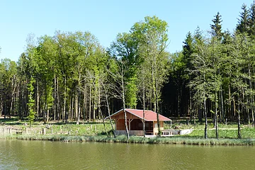 Fischereilehrhütte in Monheim mit rotem Dach am Ufer eines Weihers, umgeben von Bäumen und Wald im Hintergrund.