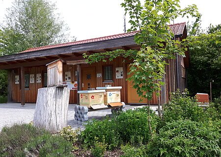 Lehrbienenstand in Monheim: ein Holzgebäude mit rotem Dach, umgeben von Bäumen und Sträuchern, im Vordergrund ein Baumstumpf und Bienenkästen.