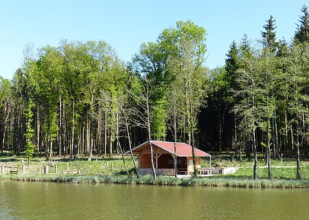 Fischereilehrhütte in Monheim mit rotem Dach am Ufer eines Weihers, umgeben von Bäumen und Wald im Hintergrund.