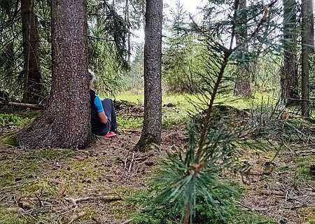 Person sitzt im Wald auf dem Boden, lehnt an einem Baum. Umgebung aus Bäumen und Moos.