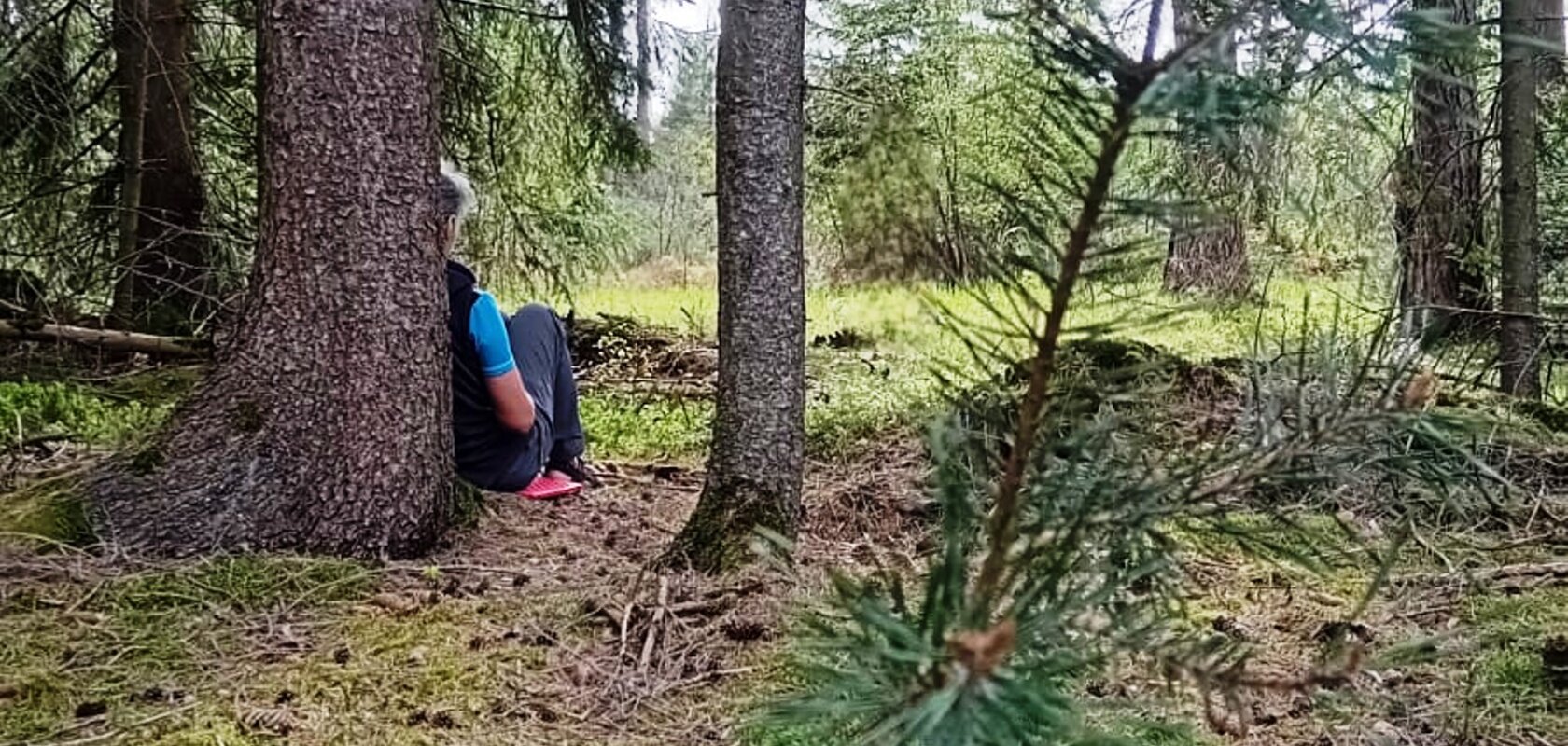 Person sitzt im Wald auf dem Boden, lehnt an einem Baum. Umgebung aus Bäumen und Moos.
