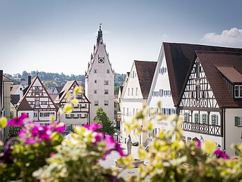 Aussicht aus dem Rathaus Monheim: Fachwerkhäuser und ein Uhren-Turm in einer historischen Altstadt, im Vordergrund unscharfe Blumen.