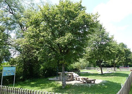 Wasserspielplatz mit Sand, Holztischen und Bänken, umgeben von Bäumen und einem Holzzaun. Informationstafel links.