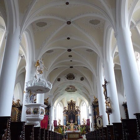 Innenansicht einer Kirche, der Stadtpfarrkirche St. Walburga in Monheim, mit hohen weißen Säulen, Gewölbedecke, Emporen mit Verzierungen und hölzernen Kirchenbänken auf beiden Seiten. Ein Altar im Hintergrund.