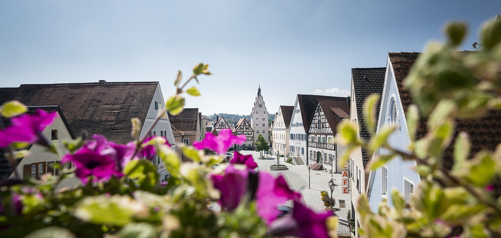 Blumen unscharf im Vordergrund, dahinter eine Straße einer Altstadt mit Fachwerkhäusern und einem zentralen Turm-Gebäude mit einer Uhr.