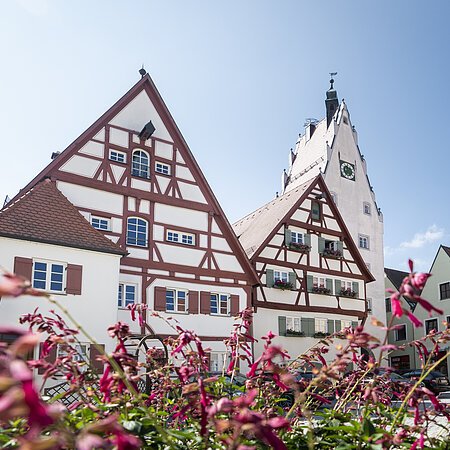 Im Hintergrund Fachwerkhäuser mit Giebeldächern und einem Torturm einer Altstadt, dahinter blauer Himmel. Im Vordergrund unscharf rosa Blumen.