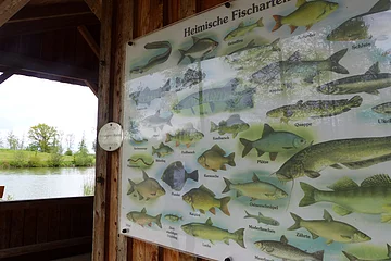 Tafel auf einer Holzfassade einer Hütte, mit Abbildungen und Namen heimischer Fischarten, im Hintergrund ein Teich und Bäume.
