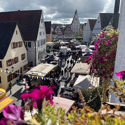 Stadtplatz mit Marktständen und Menschen, umgeben von Fachwerkhäusern, im Vordergrund Blumen. Termin 19. Oktober 2025