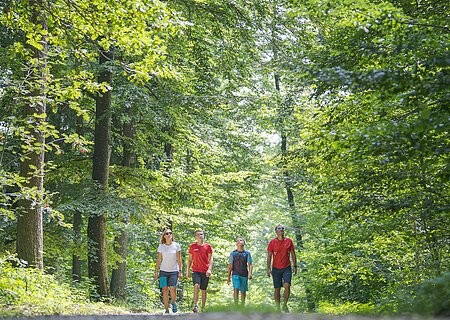 Vier Personen spazieren auf einem Waldweg, umgeben von grünen Bäumen.