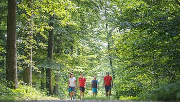 Vier Personen spazieren auf einem Waldweg, umgeben von grünen Bäumen.