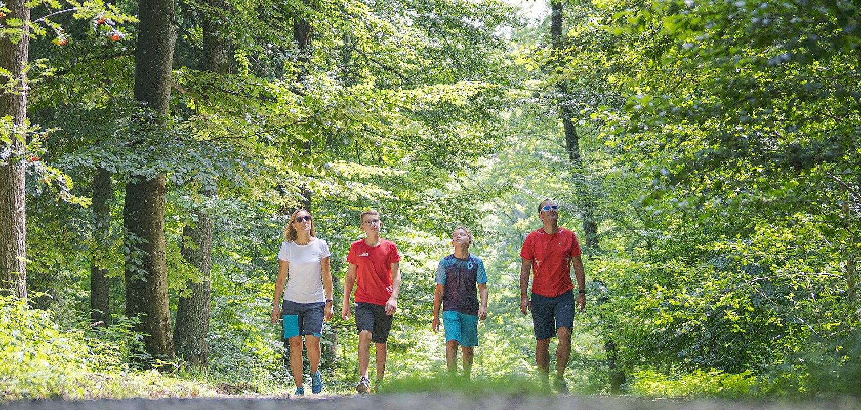 Vier Personen spazieren auf einem Waldweg, umgeben von grünen Bäumen.