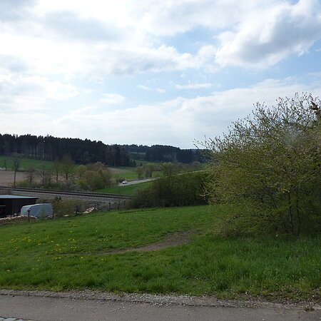 Landschaft mit Wiese, Bäumen und einem Bahngleis im Hintergrund unter bewölktem Himmel. Links im Bild ein Schuppen mit gestapeltem Holz.