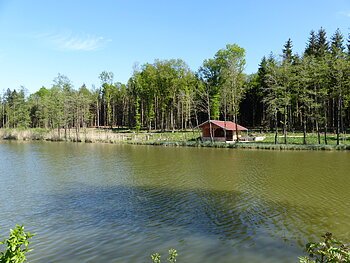 Roßköpfleweiher (Waldsee) Monheim Ein Weiher in Monheim mit einer Holzhütte am Ufer, umgeben von einem Wald unter blauem Himmel.
