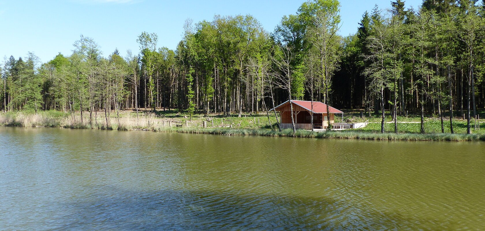 Ein Weiher in Monheim mit einer Holzhütte am Ufer, umgeben von einem Wald unter blauem Himmel.