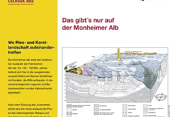 Eine Informationstafel darüber wo in der Monheimer Alb Ries und Karst landschaftlich aufeinandertreffen, mit Bildern und Texten zur Geologie und Fossilienfunden. Oben rechts im Eck das Logo der Stadt Monheim, oben links das Logo vom Geopark Ries.