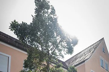 Zwei Personen stehen neben einer Steinskulptur des Buchstabens "N", daneben eine Informationstafel, beides steht auf einem Beet, mit einem Baum dahinter. Umgeben von einem gepflasterten Platz, Häusern und blauem Himmel im Hintergrund.