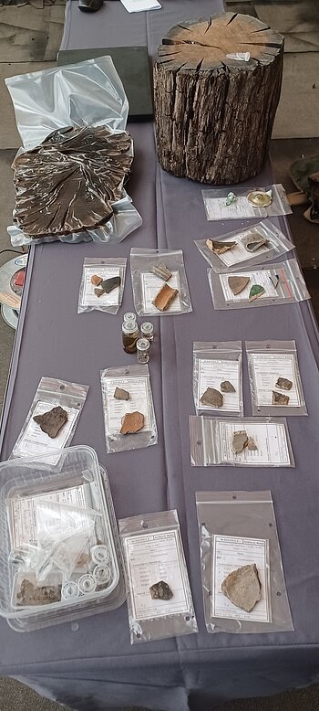 Verschiedene archäologische Funde eingepackt in Plastiktüten auf einem Tisch ausgelegt, darunter Holzstücke und Proben in kleinen Fläschchen.