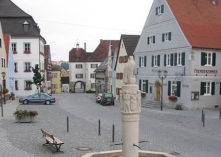 Im Vordergrund ein grauer achteckiger Brunnen aus Jura-Stein mit einer Säule und einer darauf Sitzenden Skulptur des Adlers. Brunnen ist mit Wasser befüllt auf einem gepflastertem Platz mit Häusern und parkenden Autos am Straßenrand. Blumen links unten im Bild im Vordergrund.