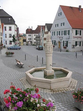 Im Vordergrund ein grauer achteckiger Brunnen aus Jura-Stein mit einer Säule und einer darauf Sitzenden Skulptur des Adlers. Brunnen ist mit Wasser befüllt auf einem gepflastertem Platz mit Häusern und parkenden Autos am Straßenrand. Blumen links unten im Bild im Vordergrund.