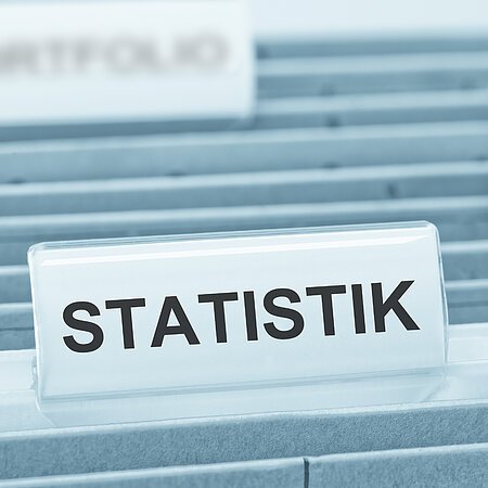 Fächer eines Aktenordnersystems mit drei beschrifteten Schildern. Im Hintergrund unscharfe Karteifächer, im Vordergrund ein Karteifach mit dem Wort „Statistik“ in schwarzer Schrift.