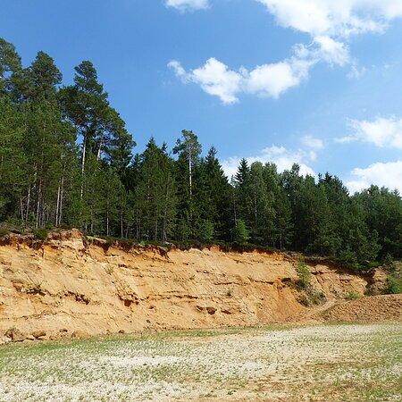 Sandfelsen mit Nadelbäumen oberhalb und bewachsenem Boden darunter unter blauem Himmel mit Wolken.