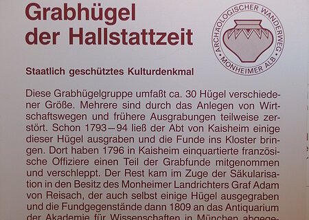 Hinweistafel zu Grabhügeln der Hallstattzeit mit Text zur Geschichte und Bedeutung, staatlich geschütztes Kulturdenkmal.
